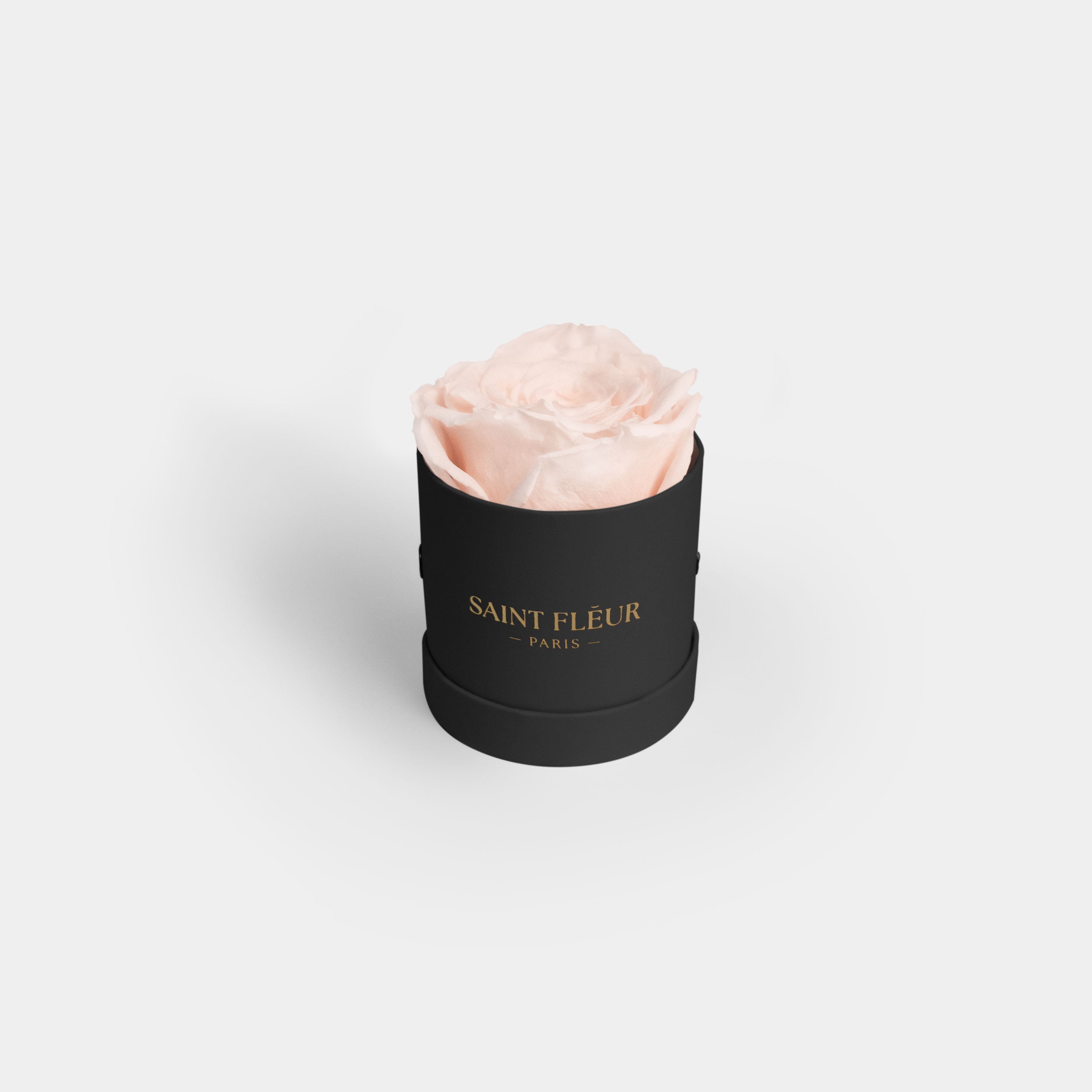 #color_peach