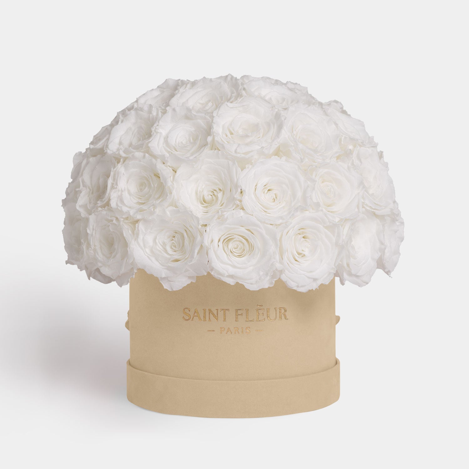 #color_pure white